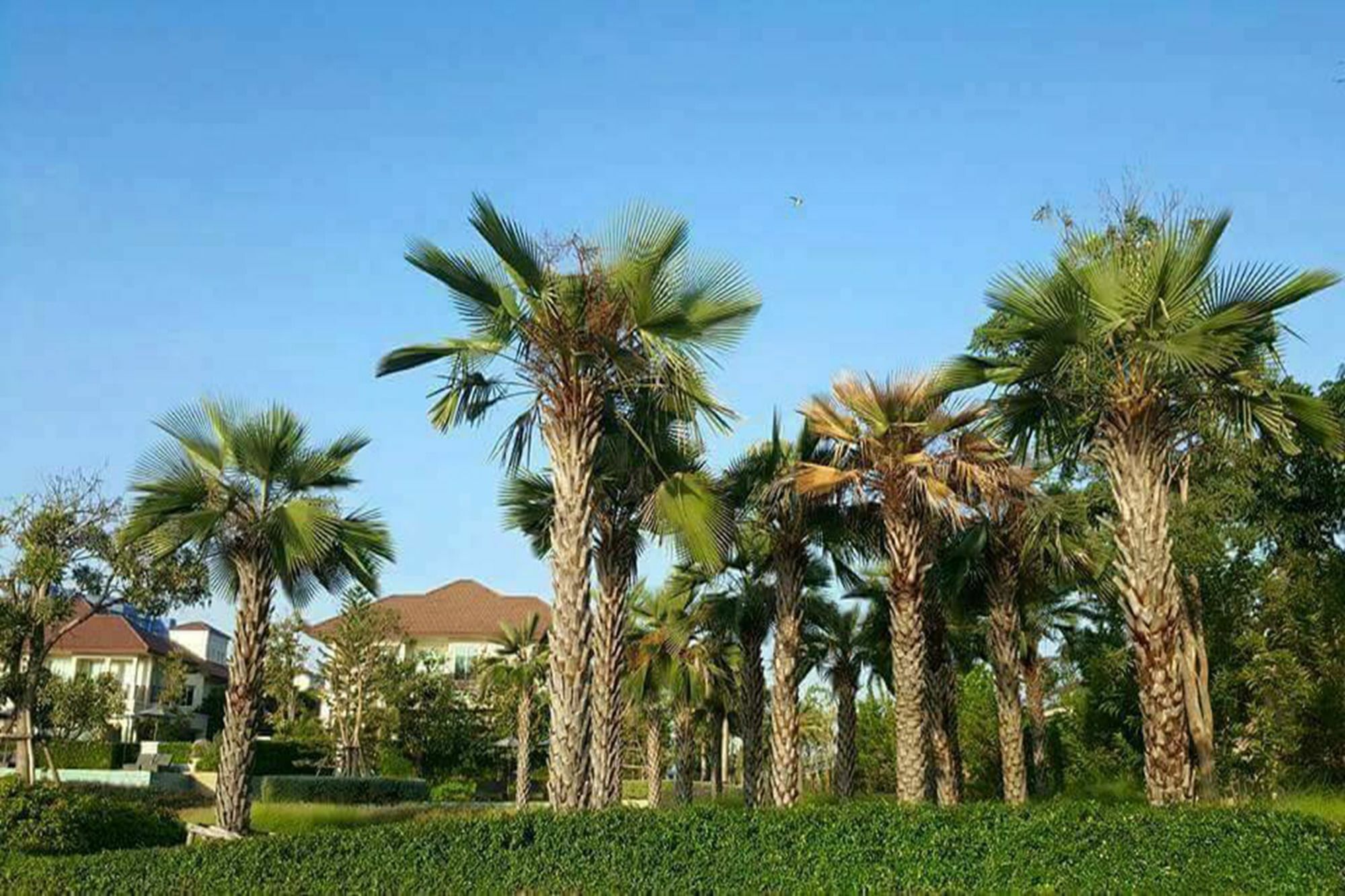 Panorama Sea View At Boulervard Cha-Am Exterior foto